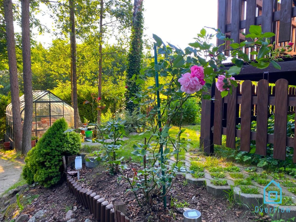 Holibobos Year Round Cottage In Kamien By The Lake Only 30 Minutes From Gdansk And Gdynia Kamień Exterior foto
